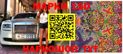крисы Гулькевичи