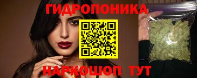кокс Гудермес