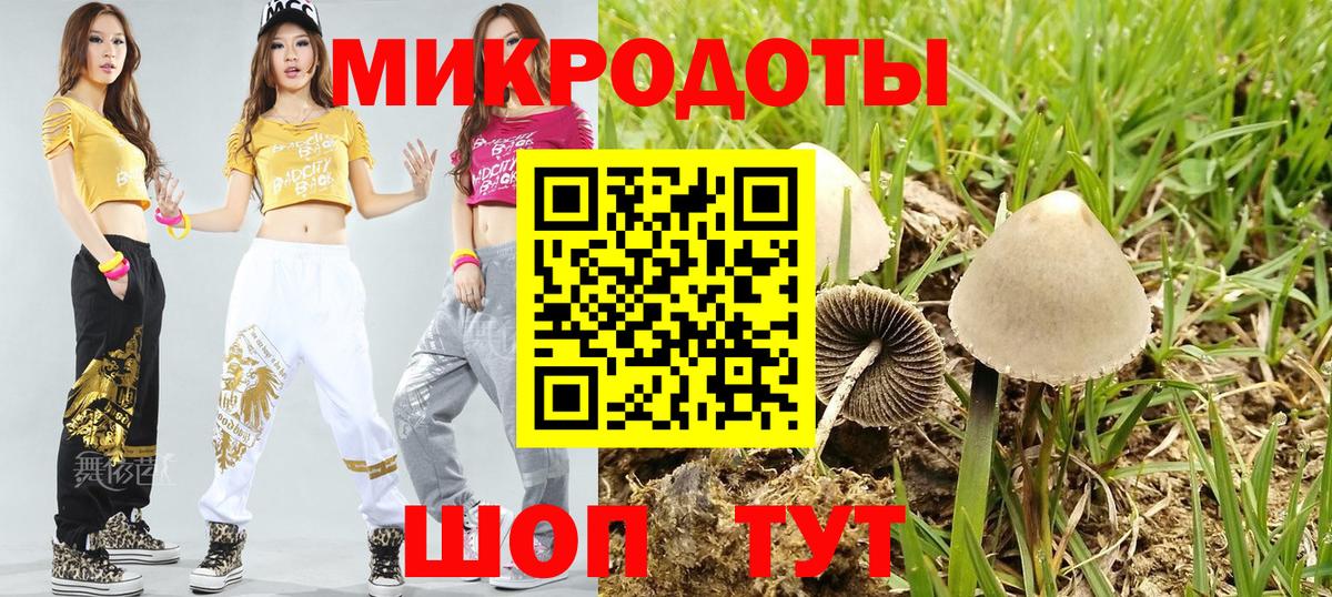 Псилоцибиновые грибы MAGIC MUSHROOMS  Галлюциногенные грибы Psilocybe  Новороссийск  Вход с VPN 