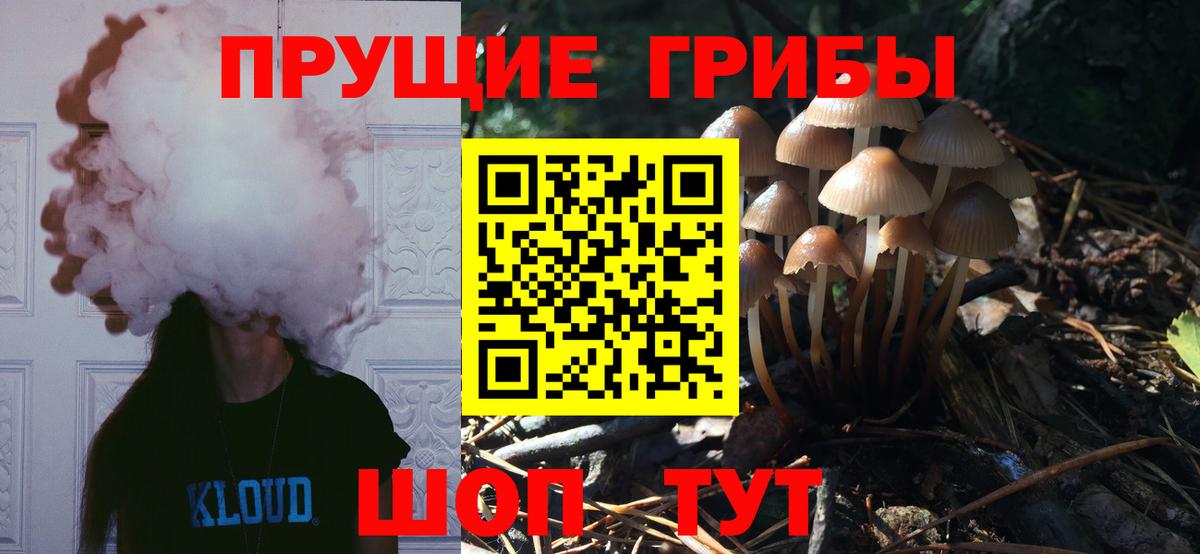 Галлюциногенные грибы ЛСД Новороссийск
